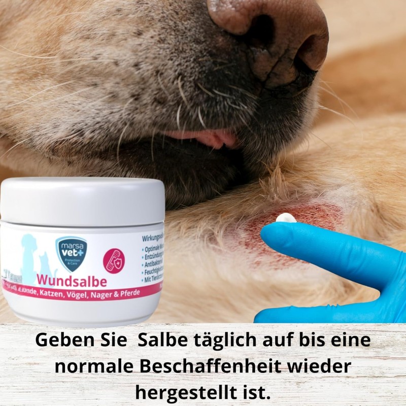 Marsavet Wundsalbe – Wundheilung Haustiere 30 ml – in use