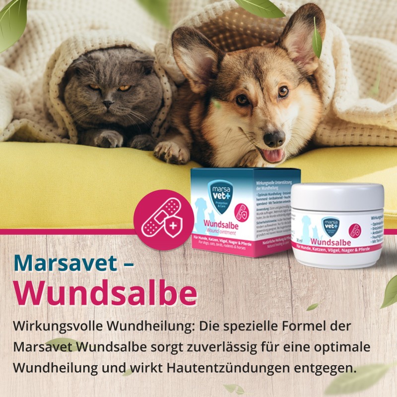 Marsavet Wundsalbe – Wundheilung Haustiere 30 ml – ointment