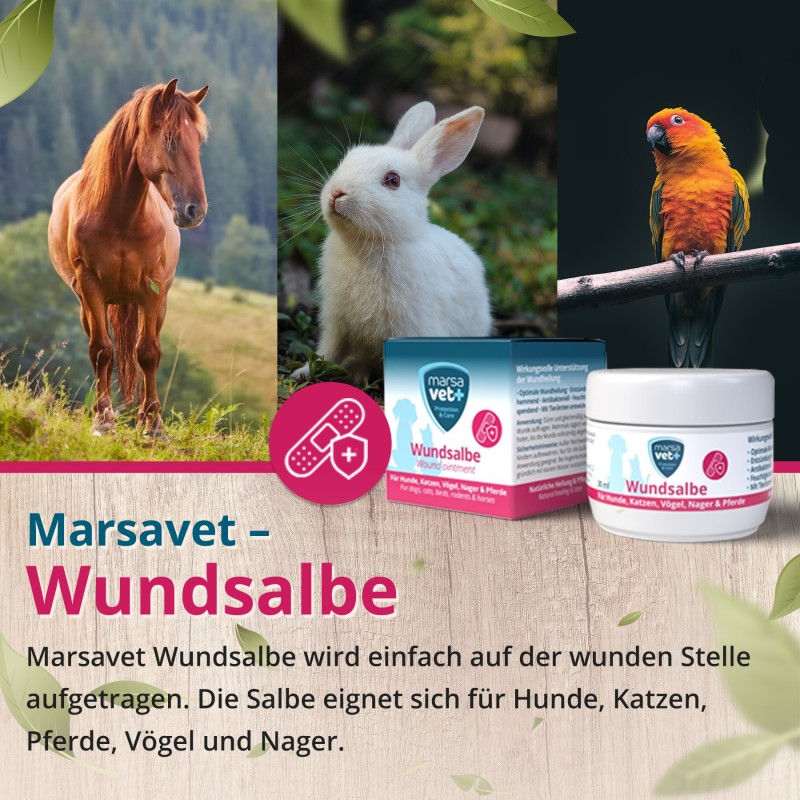 Marsavet Wundsalbe – Wundheilung Haustiere 30 ml – ointment